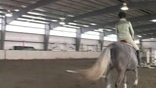 How to Gallop a Horse [upl. by Ecertak]