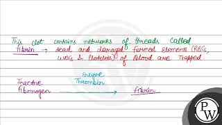 Where is prothrombin present [upl. by Retha85]