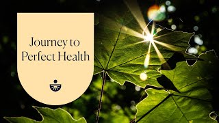 Deepak Chopra Journey to Perfect Health A Guided Meditation [upl. by Tonl435]