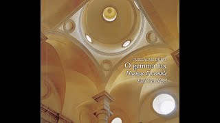 Guillaume Dufay 13971474  O gemma lux Paul Van Nevel Huelgas Ensemble [upl. by Ettedo]