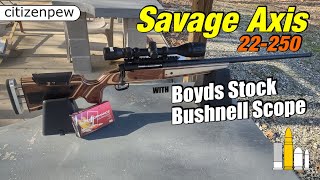 Savage Axis 22250 with Boyds Stock and Bushnell Scope [upl. by Wheeler]