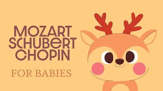 Baby Classical Music 🌞 Mozart Schubert amp Chopin 🌞 Piano Songs for Babies [upl. by Barram]