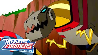 Transformers Animated  S01 E12  FULL Episode  Cartoon  Transformers Official [upl. by Attekahs866]