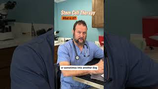 How Stem Cells Heal Dogs Marc Smith DVM MS Explains [upl. by Zielsdorf287]