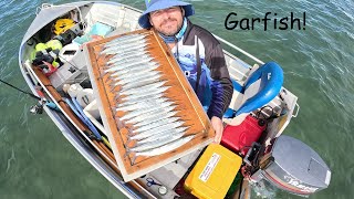 Fishing for Garfish on the Gold Coast Broadwater May 2024 goldcoast garfish fishing [upl. by Erodeht]