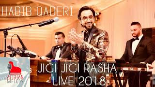 Habib Qaderi  Jigi Jigi Rasha LIVE 2018 [upl. by Prober]