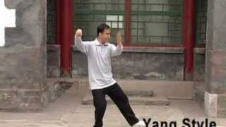 Comparison of Four Styles of Tai Chi [upl. by Aili651]