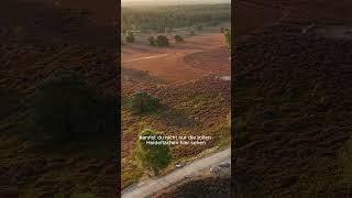 Ausflug auf den Brunsberg in der Lüneburger Heide [upl. by Eidna]