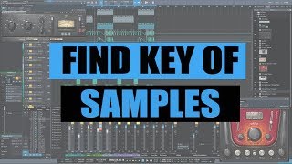 TOP 3 Plugins To Find The Key Of A Sample In Any DAW [upl. by Nodababus]