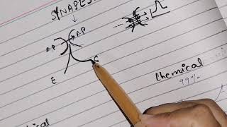 Synapse function  types of synapse Neurophysiology guyton 46 [upl. by Elmira]
