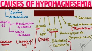 HYPOMAGNESEMIA  mnemonic  CAUSES  MEDICINE with DR SHAMAMA [upl. by Wonacott]