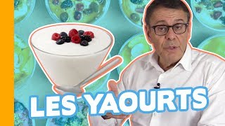 Quels Yaourts Choisir  Nature Bio au Lait de Vache ou de Brebis [upl. by Jae]