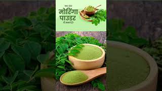 Moringa powder benefits मोरिंगा पाउडर खाने के क्या क्या फायदे हैंमोरिंगा पाउडर को कैसे यूज़ करें [upl. by Tressia457]