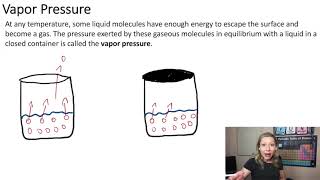 Vapor Pressure and Boiling Point [upl. by Nart]