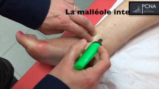 TUTORIEL ANATOMIE CHEVILLE [upl. by Dwyer216]