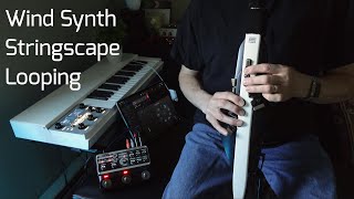 Synthesized Stringscape  Roland Aerophone AE20 Wind Synth Boss Space Echo RE202 [upl. by Ellecram]