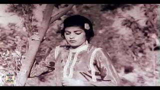 MAHI VE SANU PUL NA JAVI Super Hit  NOOR JEHAN  PAKISTANI FILM MALANGI [upl. by Elwira]