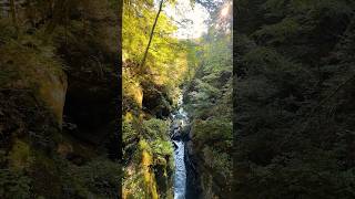 Most Gorgeous Waterfalls in PA 🤯 short shorts delawarewatergap bushkillfalls [upl. by Etienne]