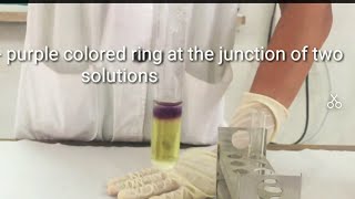 Rotheras test  for detection of ketone bodies in urine [upl. by Odlabu]