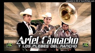 El Proceder De Manuel  Ariel Camacho y Los Plebes del Rancho [upl. by Elnar634]