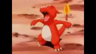 Ashs Charmeleon Evolves Into Charizard [upl. by Farnsworth409]