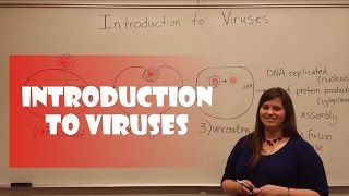 Introduction to Viruses [upl. by Rivera]