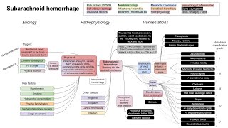 Subarachnoid hemorrhage mechanism of disease [upl. by Eart269]