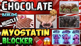 CHOCOLATE IS ANABOLIC  BLOCK MYOSTATIN amp INCREASE FOLLISTATIN W EPICATECHIN 🧬🐂MYOSTATIN MONDAY🧬🐂 [upl. by Fleurette]