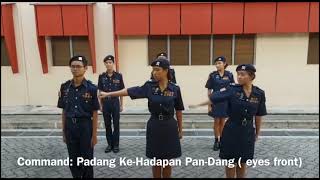 BBSS NPCC Basic Drills Tutorial [upl. by Annaerb]