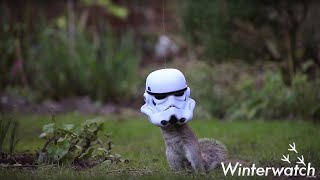 Funny Squirrel Stormtrooper  Earth Unplugged [upl. by Releehw]