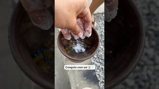 Congelei as bolinhas de gel com SAL 😱❄️🧂 irmãosmedeiros [upl. by Conroy]