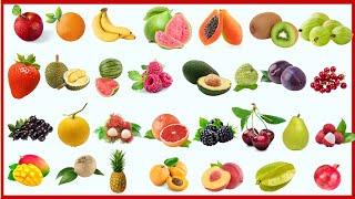 All Fruits Name In English  List Of Fruits Name  Fruits Name Video  Different Fruits [upl. by Alleber332]