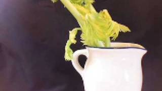 Turgor Pressure in Celery stalks [upl. by Lansing904]