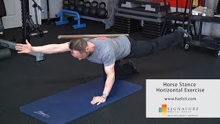 Horse Stance Horizontal Exercise [upl. by George]