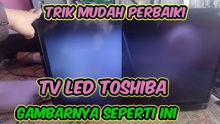 TV LED Toshiba Ada Suara Tidak Ada Gambar [upl. by Alimrahs]