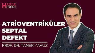 Atrioventriküler Septal Defekt AVSD  Kalpte Delik  Prof Dr Taner Yavuz [upl. by Enyrb]