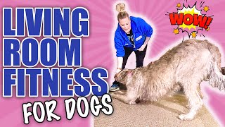 5 Tricks To Teach Your Dog That Will Exercise Them At Home [upl. by Dragone]