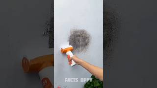 clean the wall fast 🤯三 New Viral Gadgets Smart Appliances Kitchen UtensilsHome Inventions shorts [upl. by Eelatsyrc513]