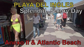 PLAYA DEL INGLES Splendid Sunny Day Anexo II amp Atlantic Beach November 2023 GRAN CANARIA [upl. by Eelac472]