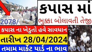 Kapas na bhav  28042024  કપાસના ભાવ2024  Information about Cotton Crop Price  Commodity Trend [upl. by Salb364]