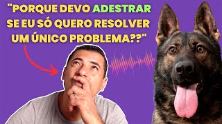 PRA QUE ADESTRAR SE EU QUERO RESOLVER SÓ UM PROBLEMA DO MEU CÃO [upl. by Cioffred237]