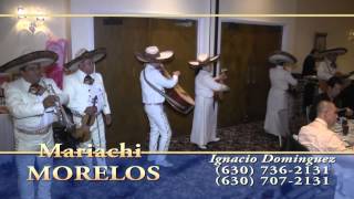 Mariachi Morelos 2013 Chicago [upl. by Dnilazor760]