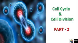 The Fundamental Unit of Life Cell  One Shot Revision Part 2  Class 9 Biology Ch 5  CBSE 202425 [upl. by Metzgar]