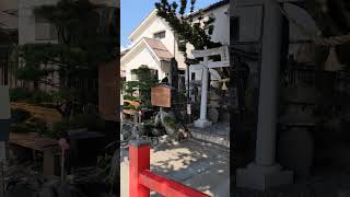 JAPAN Little sanctuary in Matsumoto japan travel short religion temple chill [upl. by Juana655]