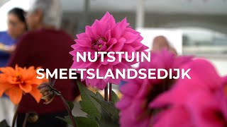 TV IJsselmonde  Plantjesdag  Nutstuin Smeetslandsedijk [upl. by Atisusej282]