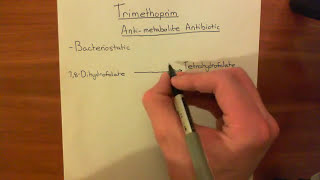 Trimethoprim [upl. by Banyaz]