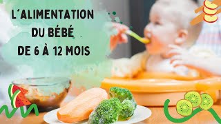 L’ALIMENTATION DU BÉBÉ DE 6 À 12 MOIS  DME morceaux  🥦🍉 [upl. by Ecyal]