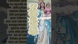 🙏🏻Promesas de la Virgen María a quienes rezamos el Santo Rosario🙏🏻virgenmariarosariofypシ゚viral [upl. by Ilise]