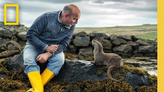 Billy amp Molly An Otter Love Story Full Documentary Special  National Geographic [upl. by Stalk389]