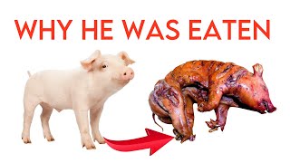 Why This Famous Pet Pig Was Eaten After 100 Days [upl. by Layne]